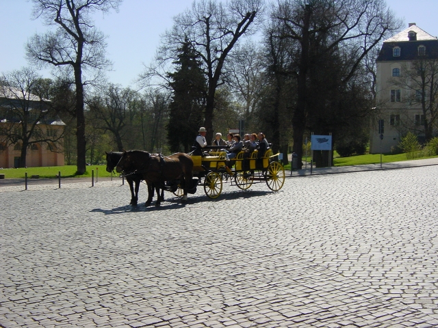 Erfurt 2010 134.jpg